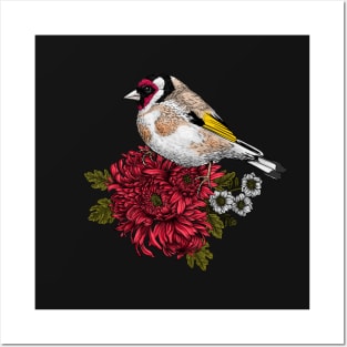 Goldfinch on chrysanthemum bouquet Posters and Art